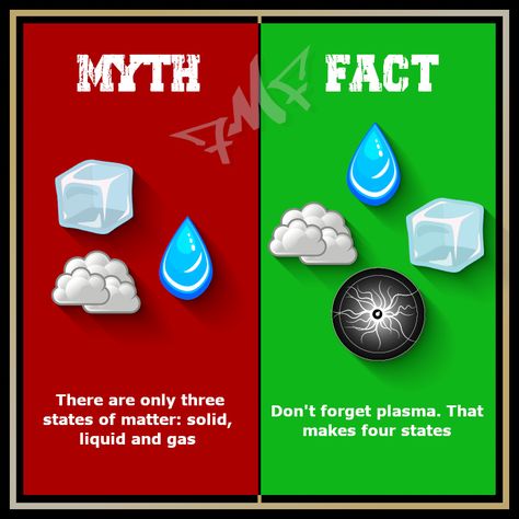 💧☁️❄️🌟 #mythvsfact #mythvstruth #mythvstruths #factvsmyth #truthvsmyth #mythdebunked #sciencemyths 3 States Of Matter, Myth Fact, Myth Vs Fact, Gk Facts, Memories Art, Childhood Memories Art, Science Fact, Interesting Science Facts, Fun Facts About Life