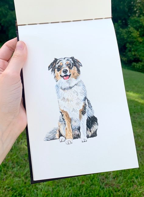 Aussie Drawing, Australian Shepherd Drawing, Mini Australian Shepherd Drawing, Australian Shepherd Painting, Australian Shepherd Sketch, Aussie Painting, Aussie Watercolor, Australian Shepherd Drawing Pencil, Australian Shepherd Watercolor