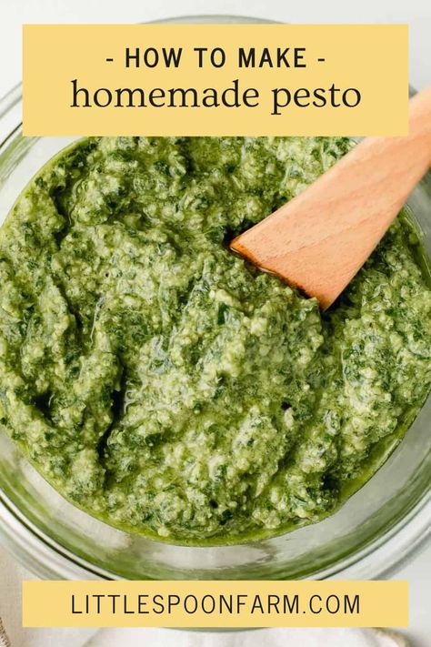 Discover the simplicity and exceptional flavor of the easiest homemade pesto recipe. With just a handful of ingredients and minimal effort, you can create a delightful sauce that will elevate your dishes to new levels. Experience the fresh taste of basil, the creamy notes of Parmesan cheese, the satisfying crunch of pine nuts, and the subtle warmth of garlic, all blended into a versatile sauce that adds a burst of flavor to any meal! Homemade Italian Sauce, Walnut Pesto Recipe, Pine Nut Pesto, Homemade Basil Pesto, Homemade Pesto Recipe, Farm Recipes, Homemade Pesto Sauce, Pantry Recipes, Homemade Pantry