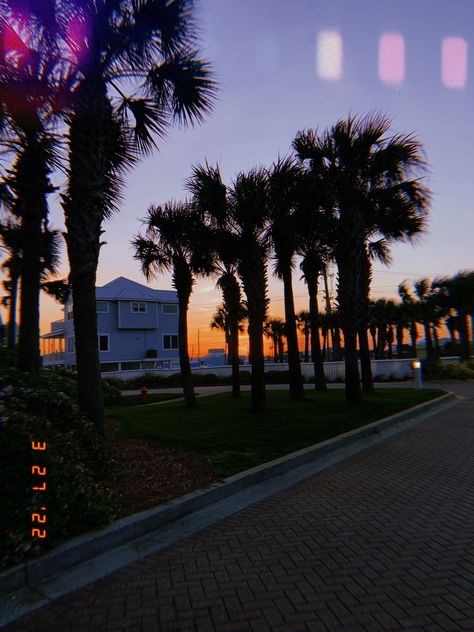 beach | aesthetic | sunset | palm tree | orange | blue | pretty | navarre | pensacola | florida sunset Pensacola Florida Aesthetic, Beach Aesthetic Sunset, Port Orange Florida, Tree Orange, Florida Aesthetic, Florida Sunset, Pensacola Florida, Florida Girl, Aesthetic Sunset