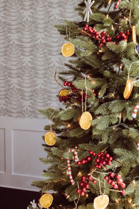 How to Make Dried Orange Ornaments for your Christmas Tree Dried Orange Ornaments, Orange Christmas Tree, Dried Orange Garland, Scandinavian Christmas Ornaments, Dried Potpourri, Orange Ornaments, Orange Christmas, Candy Cane Ornament, Dried Oranges