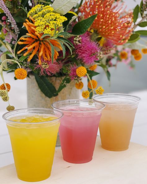 Summer is here… and so is Agua Fresca! ☀️ Pictured are our flavors Hibiscus Lemonade, Passion Fruit Mango, POG, and Watermelon. Enjoy a yummy treat in this summer heat! #dessertcart Hibiscus Lemonade, Fruit Mango, Agua Fresca, Experiential Marketing, Summer Treats, Summer Is Here, Summer Heat, Passion Fruit, Popsicles