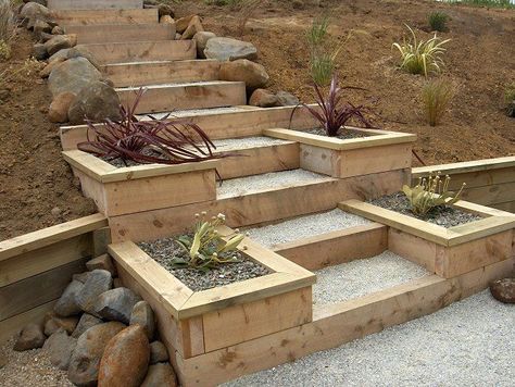 Macrocarpa steps and planter boxes: Landscape Construction, Construction Portfolio, Arrows Keys, Backyard Ideas, Landscape Schemes, Landscape Team, Landscape Ideas, Planters Boxes, Planter Boxes Pallet Gardens, Planter Box Designs, Sloped Backyard Landscaping, Landscape Stairs, Raised Patio, Pool Areas, Railway Sleepers, Sloped Backyard, Landscaping Retaining Walls