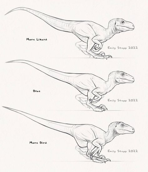 Jurassic World Raptors, Dino Drawing, Raptor Dinosaur, Dinosaur Sketch, Dinosaur Images, Dinosaur Drawing, Blue Lizard, Dinosaur Pictures, Dinosaur Illustration