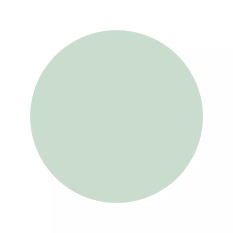 HEX: #c8decc · RGB: 200, 222, 204 · HSL: 131, 25%, 83% · HSB (HSV): 131, 10%, 87% · CMYK: 11%, 1%, 9%, 12% · Pale Mist · Quiet Spring · Tranquil Haze Html Color Codes, Hex Color Palette, Html Color, Hex Colors, Color Code, Unique Colors, Light Green, Mist, Color Palette