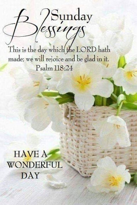 Blessed Sunday Morning, Blessed Sunday Quotes, Happy Sunday Images, Sunday Prayer, Sunday Morning Quotes, Happy Sunday Morning, Sunday Greetings, Have A Blessed Sunday, Good Sunday Morning