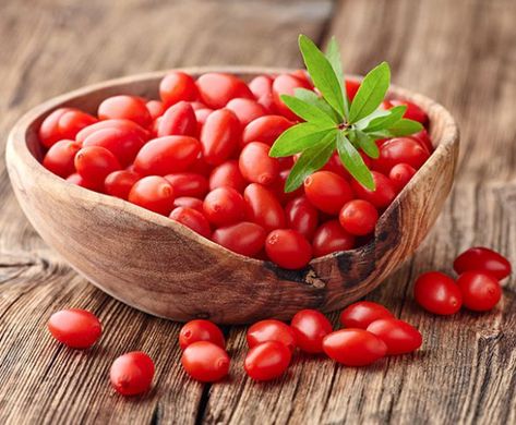 Goji Berry, 'Dynamite' - DeGroot Growing Goji Berries, Goji Berries Benefits, Fruit Du Dragon, Avocado Brownies, Berry Plants, Berry Bushes, Goji Berry, Anti Aging Supplements, Fruit Plants