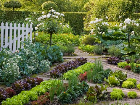 Edible Landscape Inspiration - The Restful Home Potager Garden, Edible Landscaping, Veg Garden, Secret Gardens, Have Inspiration, Homestead Survival, The Secret Garden, Vegetable Garden Design, Plants And Flowers