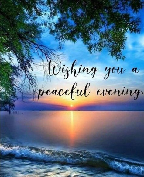 Have A Peaceful Evening, Have A Great Afternoon, Blessed Evening, Good Evening Quotes, Evening Pics, Family Day Quotes, Good Evening Love, Good Night Sleep Well, Evening Wishes