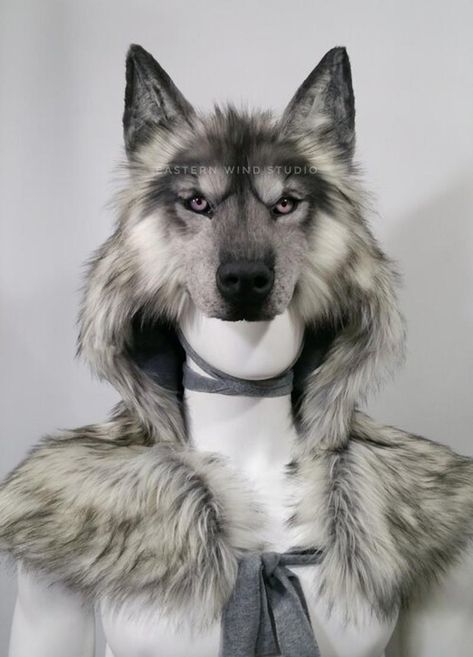 Wolf Outfit, Wolf Headdress, Wolf Hat, Wolf Mask, Arte Steampunk, Arctic Wolf, Wolf Photos, Gray Wolf, Silver Wolf