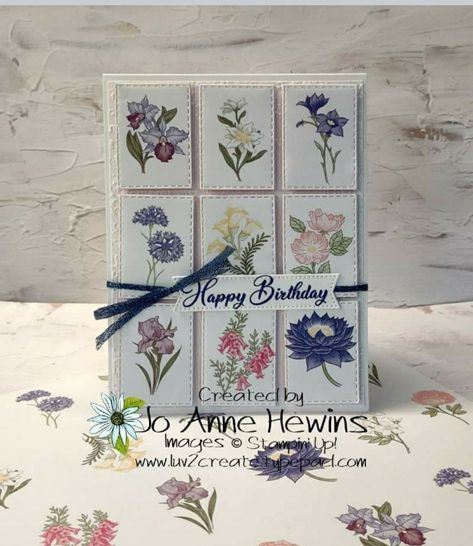 Wonderful World Birthday, Stampin Up Wonderful World, Su Wonderful World, Wonderful World Dsp, World Flowers, Stampin Up 2022, Dsp Cards, Fall Mini, Stamping Up Cards