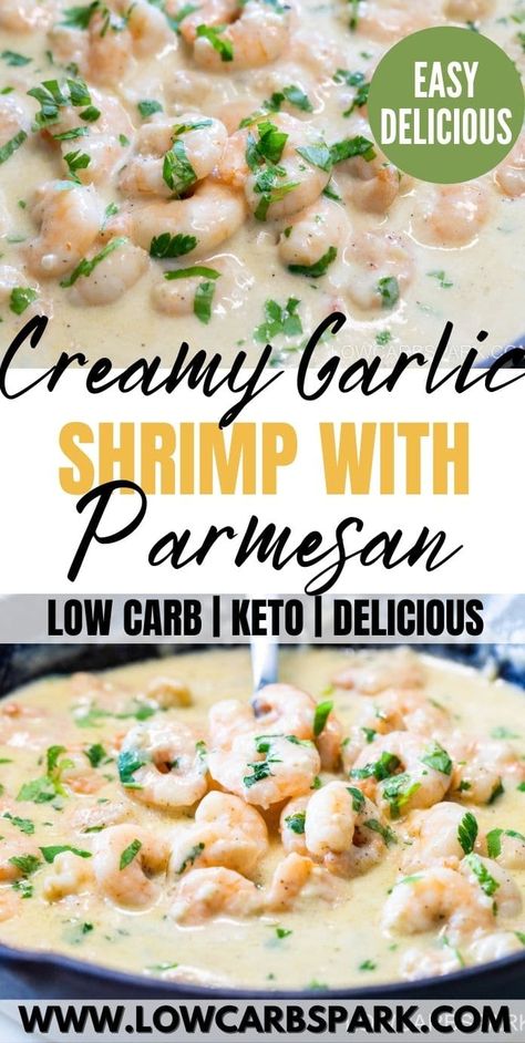 Shrimp Omelette, Creamy Garlic Shrimp Recipe, Shrimp Cream Sauce, Garlic Parmesan Cream Sauce, Creamy Garlic Shrimp, Garlic Parmesan Shrimp, Keto Board, Creamy Shrimp Pasta, Cream Sauce Pasta