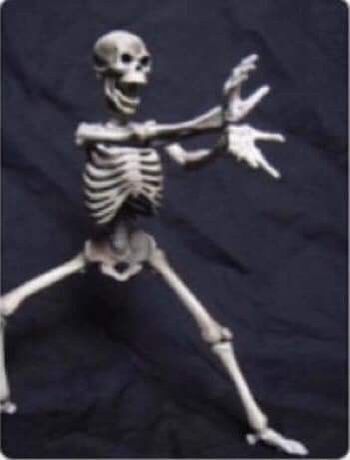 Skeleton Pics, Silly Skeleton, Muka Lelaki, Hard Photo, Funny Poses, Doctor Humor, 5 Girls, Idee Cosplay, Funny Skeleton