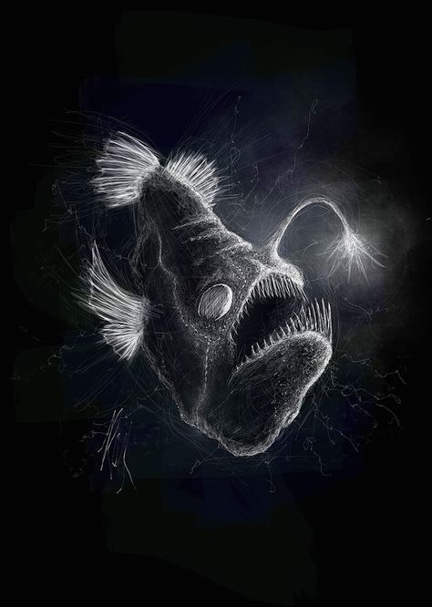 Anglerfish Drawing, Angler Fish Drawing, Angler Fish Art, Animal Sketchbook, Pumpkin Contest, Black Ocean, Corel Painter, Deep Sea Creatures, Black And White Sketches