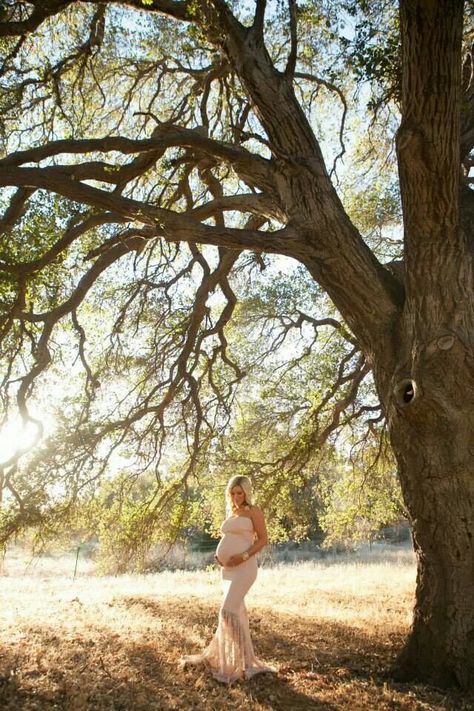 Maternity pictures Oak Tree Maternity Photos, Willow Tree Maternity Photos, Maternity Photography Modest, Maternity Farm Photoshoot, Pregnant Photos, Maternity Photography Poses Outdoors, Outdoor Maternity Photos, Maternity Photography Outdoors, Maternity Picture