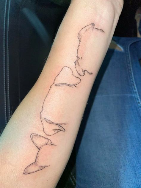 Dog Ear Tattoo Outline, Tattoo Simplistic, Dog Ear Tattoo, Cowgirl Tattoos, Outline Tattoo, Single Needle Tattoo, Dog Ears, Detailed Tattoo, Stylist Tattoos