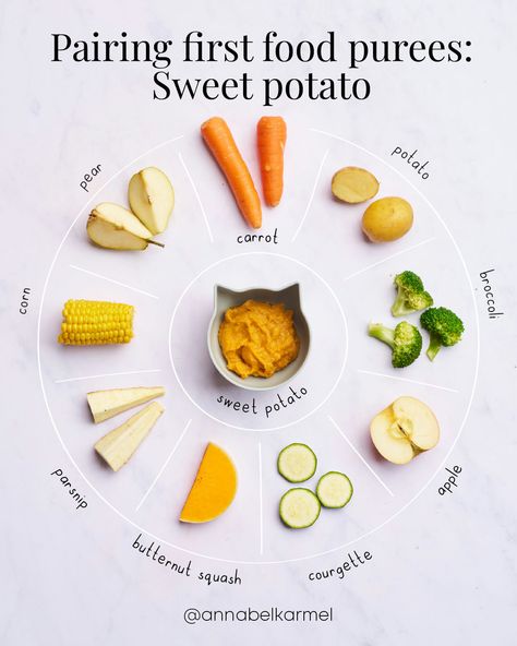 Here are my favourite sweet potato puree combos! Start with plain sweet potato to help your baby get used to the flavour, then mix in one or two ingredients from the outer wheel suggestions.  Follow the link to read more! Sweet Potato Puree Combinations, This Or That Food Edition, Banana Puree For Baby, Baby Puree Combinations, Sweet Potato Puree Baby, Puree Combinations, Squash Baby Food Recipe, Momo Food, Baby Weaning Foods