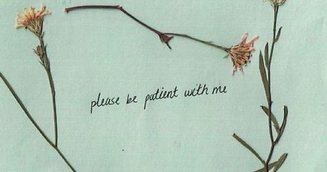 Quote Girl, Be Patient With Me, Anne Shirley, Dragon Age Inquisition, Life Quotes Love, Be Patient, Dragon Age, Green Aesthetic, Infj