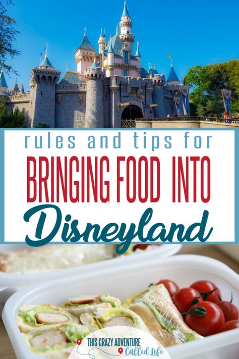 Disneyland With Toddlers, Food Disneyland, Disneyland Souvenirs, Disneyland Snacks, Disneyland Vacation Planning, The Best Snacks, Disneyland Secrets, Disneyland Planning, Best Snacks