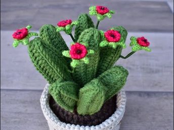 CACTUS GRANDE DE GANCHILLO CON FLORES - YouTube Crochet Succulent, Crochet Garden, Crochet Flowers Free Pattern, Crochet Cactus, Crochet Plant, Amigurumi Tutorial, Crepe Paper Flowers, Crochet Decoration, Mini Plants