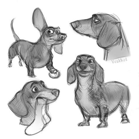 Natalia on Instagram: “Dachshund, the next will be a shepherd) . . . #stilisation #animalart #dachshundsofinstagram #dachshund #characterdesign #conceptart #study…” Drawing Dachshund, Dachshund Drawing, Dachshund Painting, Dachshund Cartoon, Doxie Art, Dachshund Illustration, Dachshund Art, Dog Sketch, Dachshund Love