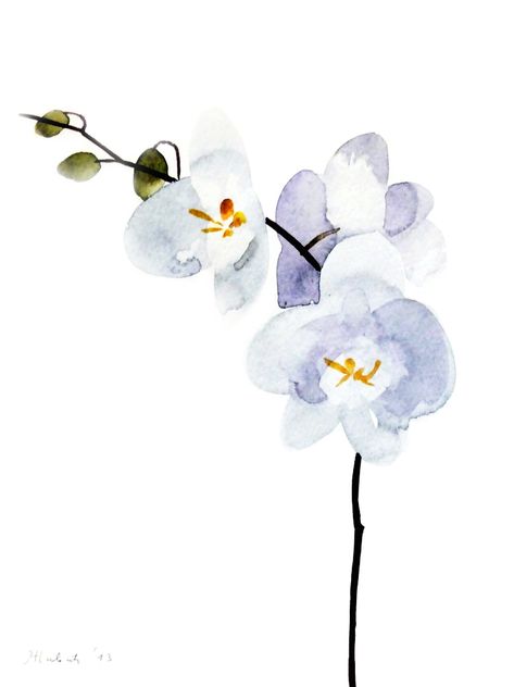 White Orchid Watercolor, Watercolor Orchids Painting, Watercolour Orchid, Orchid Watercolor Painting, Watercolor Orchids, Orchid Watercolor, Watercolor Orchid, Orchid Painting, Orchid Illustration