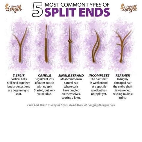 Types of split ends Hair Science, Split Ends Hair, Natural Hair Care Tips, Hair Frizz, Split Hair, Healthy Hair Journey, Damaged Hair Repair, Hair Blog, Natural Hair Tips