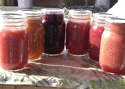 canning flavored applesauce strawberry applesauce cherry applesauce plum applesauce Rhubarb Applesauce, Applesauce Recipes, Canning Applesauce, How To Make Applesauce, Canning Fruit, Farmer Market, Apple Sauce Recipes, Root Cellar, Pickled Vegetables