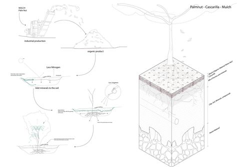 Gallery of Cascarilla Garden / ARCHITEKTEN - 24 Soil Diagram, Climate Diagram, Landscape Vignettes, Biomass Energy, Landscape Architecture Drawing, Architecture Drawing Plan, Public Space Design, Architecture Concept Diagram, Concept Diagram