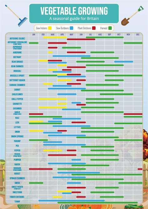 Veg Planting Calendar Uk, Veg Growing Calendar Uk, Plant Season Chart, Allotment Calendar Uk, Gardening Calendar Uk, Growing Calendar Uk, Vegetable Growing Calendar, Seasonal Vegetable Chart Uk, Garden Growing Chart