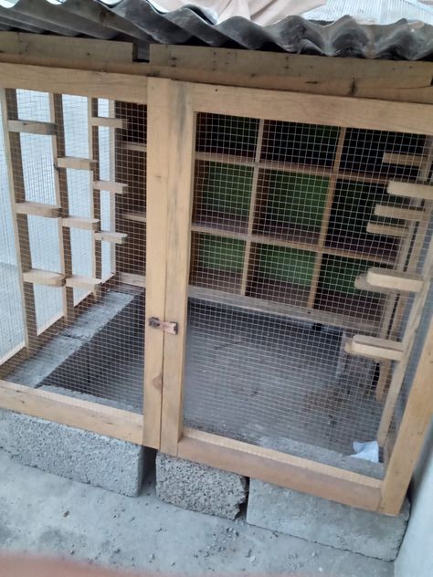 Simple wooden pigeon loft Pigeon Coop, Pigeon Loft Design, Pigeon Cage, Pigeon House, Farming Ideas, Duck Coop, Pigeon Loft, Senator Wears, Quails