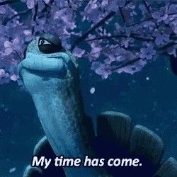 Master Oogway, Gorillaz Art, Kung Fu Panda, Gorillaz, Kung Fu, Fish Pet, Memes, Funny, Animals