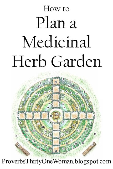 Medical Herb Garden, Plan Potager, Medicinal Herb Garden, Medicine Garden, Medicinal Herbs Garden, Medical Herbs, Medicinal Garden, Healing Garden, Medicinal Herb