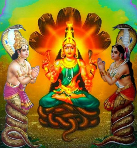 🐍 Maa Manasa Devi 🐍 Maa Manasa, Manasa Devi, Aadi Shakti, Spiritual Images, Ganesh Wallpaper, Lakshmi Images, Lord Ganesha Paintings, Kali Goddess, Devi Durga