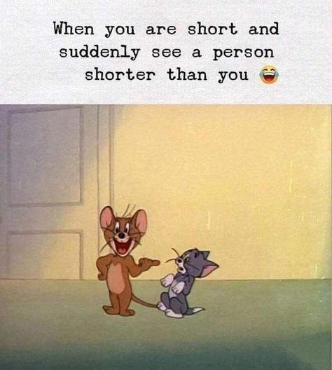 Aereanna Christine Heffley 😂 That’s ok…every short girl needs a tall guy 😉 Jerry Quotes, Tom And Jerry Quotes, Tom And Jerry Funny, Funny Minion Memes, Kermit Funny, Short Funny Quotes, Very Funny Memes, Minion Jokes, Time Pass