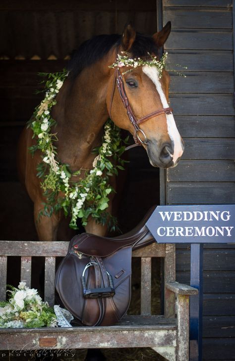 Horse In Wedding, Horse Beach Wedding, Horse Wedding Entrance, Horse And Cart Wedding, Wedding Entrance On Horse, Wedding Carriage Horse, Wedding Horse And Carriage, Horse Halloween Costumes, Horse Photography Poses