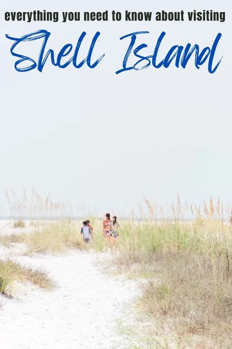 Blog Post Pin about Shell Island in Panama City Beach, Florida.  This pin has an image of four kids walking on a bath of white sand on Shell Island. Shell Island Panama City Beach Florida, Panama City Beach Florida Things To Do, Shell Island Florida, Shell Island Panama City, Beach With Kids, Things To Do In Panama, Florida Travel Destinations, Shell Island, Florida Travel Guide