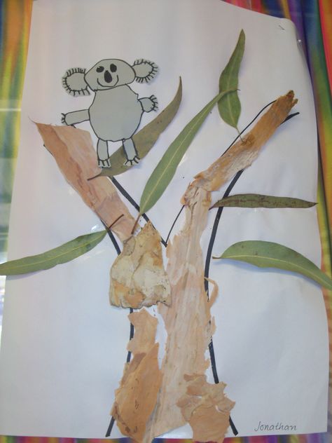 Have the children draw a step by step koala then use real bark and leaves on the tree. Possum Craft, Possum Magic, Australia Crafts, Aboriginal Culture, Australia Day, Animal Activities, Australian Animals, Australian Art, Animal Crafts