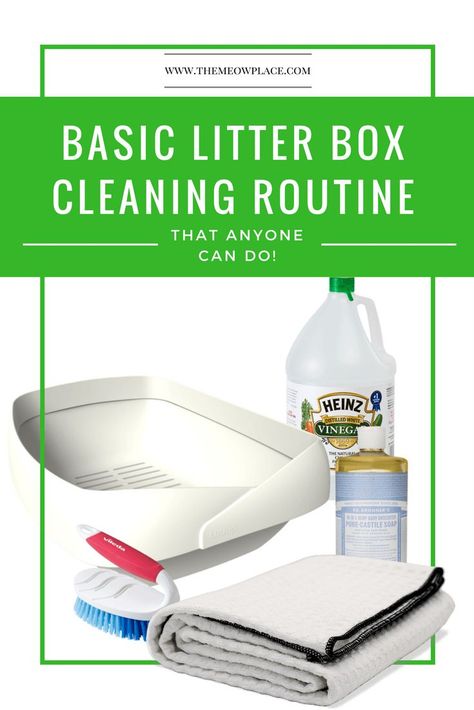 Cleaning Litter Box Tips, How To Clean Litter Box Cats, Cleaning Cat Litter Box Tips, Clean Cat Litter Box Ideas, Litter Box Cleaning Hacks, Litter Box Hacks, Litter Box Smell, Cat Health Problems, Cleaning Litter Box