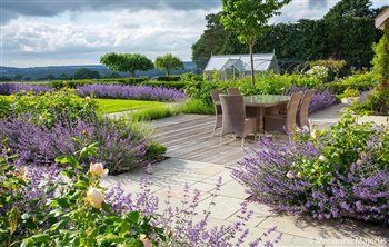 Garden Design Pictures, English Garden Design, Casa Country, Lavender Garden, Have Inspiration, Garden Soil, Garden Cottage, Country Gardening, Back Garden