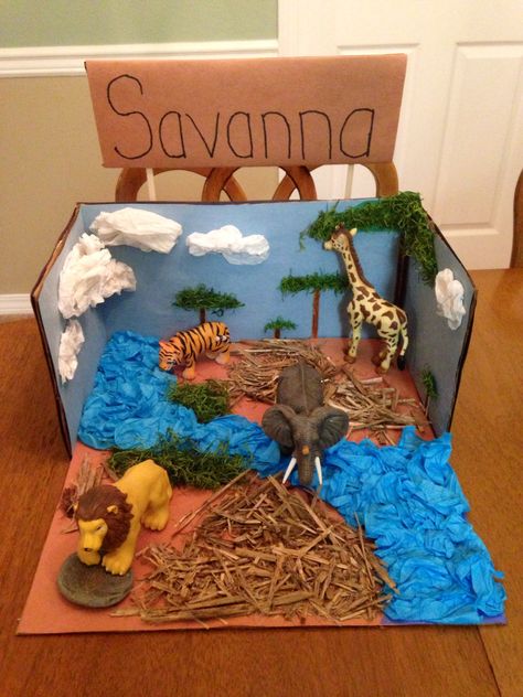 Savanna Biome Project Wolf Habitat, Ecosystems Diorama, Savanna Biome, Biomes Project, Diorama Kids, Ecosystems Projects, Diarama Ideas, Habitats Projects, Animal Habitats