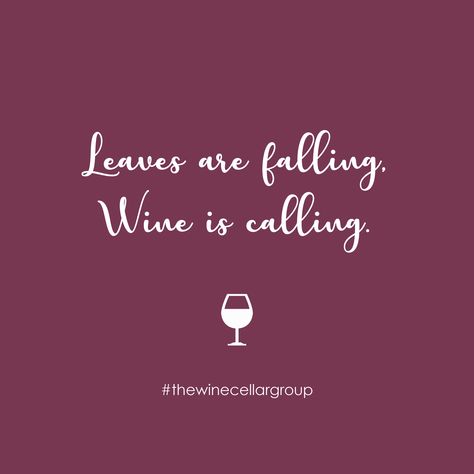 Happy first day of fall! 🍃 What’s your favorite wine to drink in the fall time? #MondayMotivation #Autumn #Fall Wine Weekend Quotes, Fall Drinking Quotes, Fall Quotes Funny Humor, Whiskey Signs, Liquor Quotes, Hello Wine, Wine Jokes, Bar Quotes, Funny Bar Signs