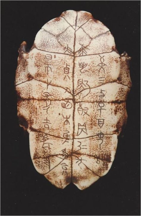 Oracle Bones, Tortoise Art, Chinese Script, Ancient Scripts, Ancient Writing, China Culture, Phonetic Alphabet, Ancient Languages, I Ching