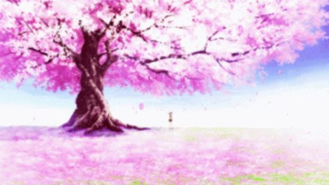 Sakura Tree Fall GIF - Sakura Tree Fall Beautiful - Discover & Share GIFs Anime Cherry Blossom, Cherry Blossom Wallpaper, Graphisches Design, Sakura Tree, Cherry Blossom Tree, Madoka Magica, Blossom Trees, Anime Scenery Wallpaper, Autumn Trees