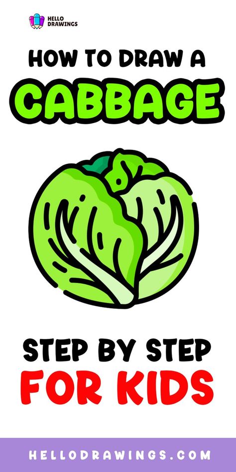 How to Draw a Cabbage | Simple Guide for Kids Cabbage Drawing, Vegetable Drawing, Fruit Or Vegetable, Fruits Drawing, Drawing Tutorials For Kids, Easy Art Projects, Green Cabbage, Learn How To Draw, Food Drawing