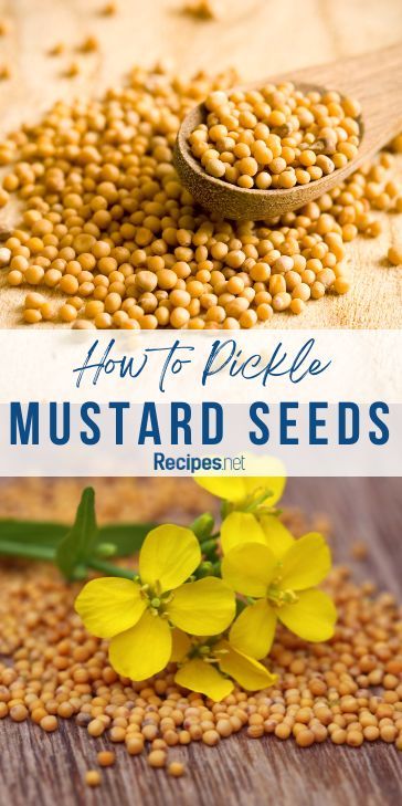 Learn how to pickle mustard seeds effortlessly with this refrigerator pickles easy guide! These tangy little gems add a burst of flavor to any dish. Perfect for topping salads, sandwiches, or charcuterie boards. Try it now and discover more tasty tips at Recipes.net! #EasyPickling #DIYCondiments #MustardSeedMagic #QuickPickles #HomeCooking Cooking Tips And Tricks, Refrigerator Pickles, Mustard Seeds, Charcuterie Boards, Mustard Seed, Charcuterie Board, Easy Recipe, Home Cooking, Cooking Tips