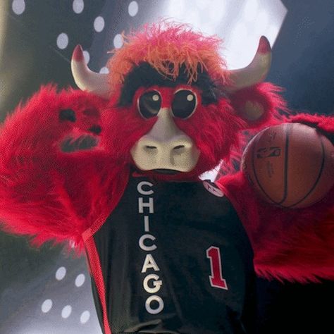 Benny The Bull Sport GIF by Chicago Bulls - Find & Share on GIPHY Benny The Bull, Sport Gif, Basketball Pics, Sports Gif, Nba Bulls, Create Animation, The Bull, Chicago Bulls, Dream Team