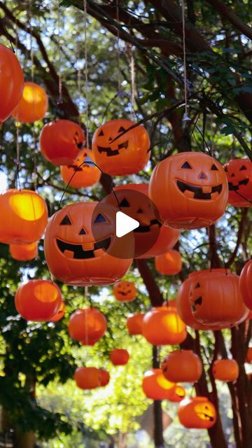 The Glenn House on Instagram: "Have you seen the pumpkin trees? 🎃🌳  Inspired by vintage Halloween and memories of trick-or-treating, the pumpkin trees have become a magical moment for children and passersby. 🧡  #pumpkins #pumpkin #halloween #halloweendecor #halloweeneveryday #halloweenhome #spooky #spookyseason #spookyhouse #october #jackolantern" Jackolanterns Hanging From Tree, Pumpkins Hanging From Trees, Hanging Pumpkins From Trees, Pumpkin Lights Ideas, Pumpkin Tree, Plastic Pumpkins, Outdoor Trees, Spooky House, Halloween Everyday