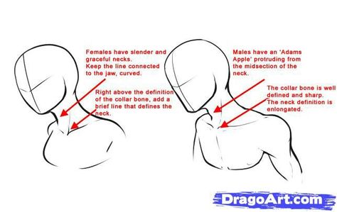 How to draw anime necks Anatomy Drawing Female, Neck Drawing, Drawing Anime Bodies, Male Vs Female, Male Figure Drawing, Drawing Female, Human Figure Drawing, Anatomy Poses, Girly Drawings