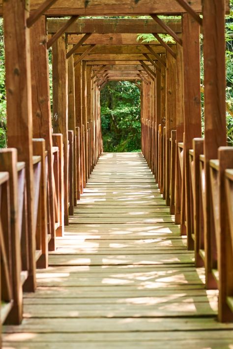 Bridge Background, Travel Wood, Dr House, Wooden Bridge, Wooden Cabins, Photo Background, House In The Woods, Premium Photo, Stairs